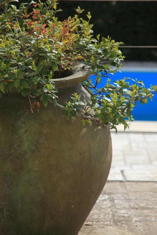 Spacious Villa In Parecag With A Swimming Pool Secovlje Exterior photo